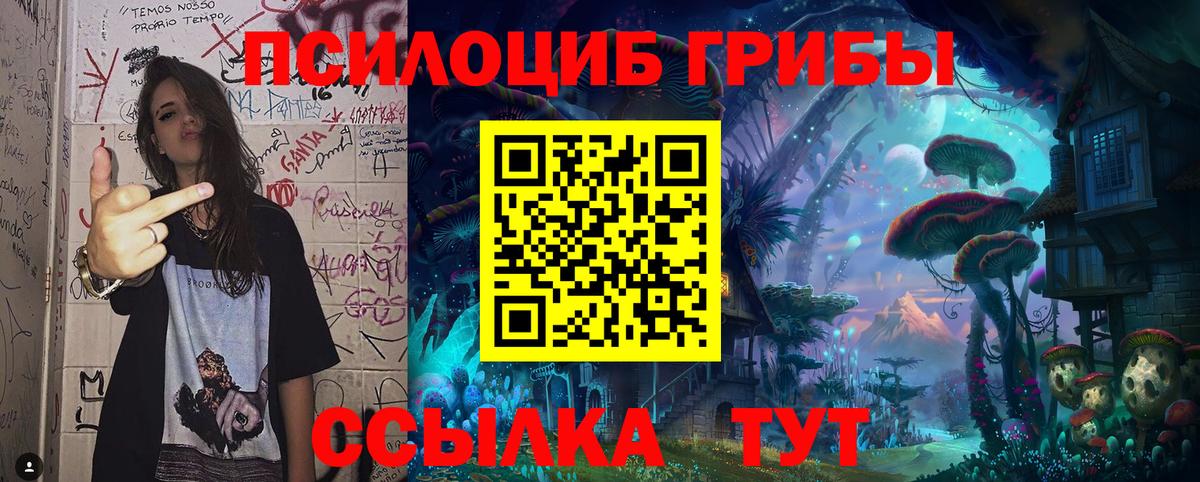 Псилоцибиновые грибы Psilocybe  Вход с VPN  Кунгур 